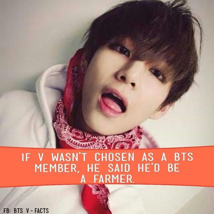 Facts About V/Taehyung | ARMY's Amino