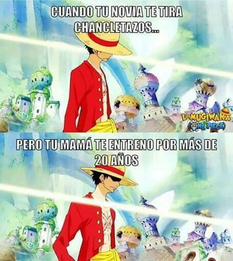 Memes de one piece !! | •Anime• Amino