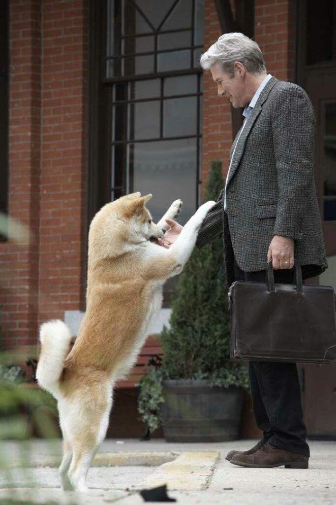 hachi a dogs tale online stream