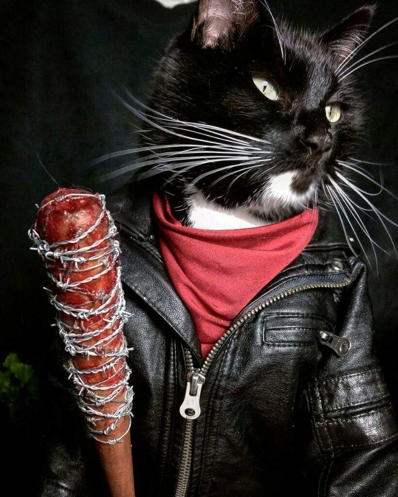 Horror Cat Cosplay | Horror Amino