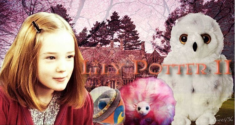 Lily Luna Potter Harry Amino.