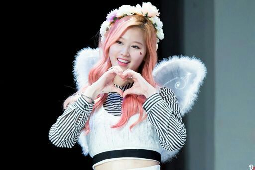 CURIOSIDADES DE SANA | •Twice Amino• Amino