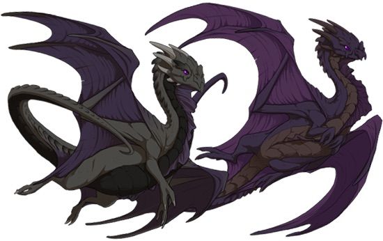 nocturn bad dragon