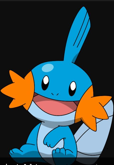 Mudkip | Wiki | •Pokémon• En Español Amino