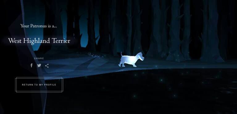 15 Day Harry Potter Challenge Day 4 Harry Potter Amino