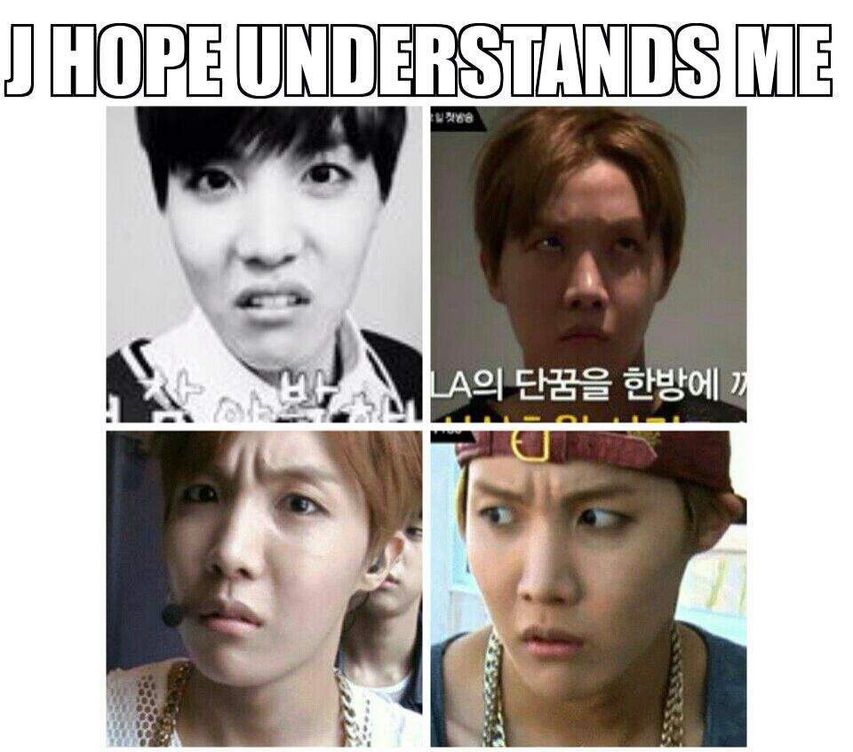 Hobi Memes | ARMY's Amino