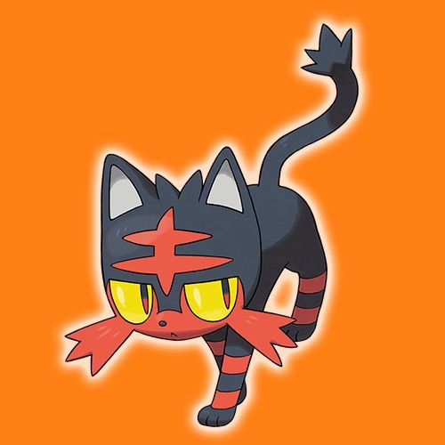 Litten | Wiki | Pokémon Amino