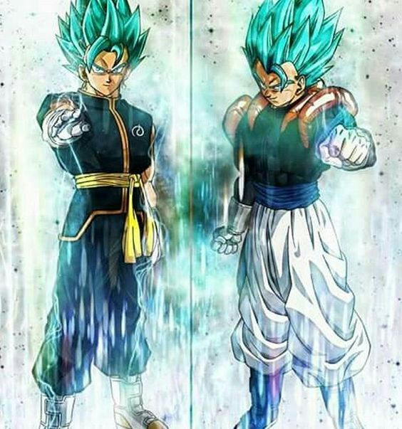 whis gi vegeta