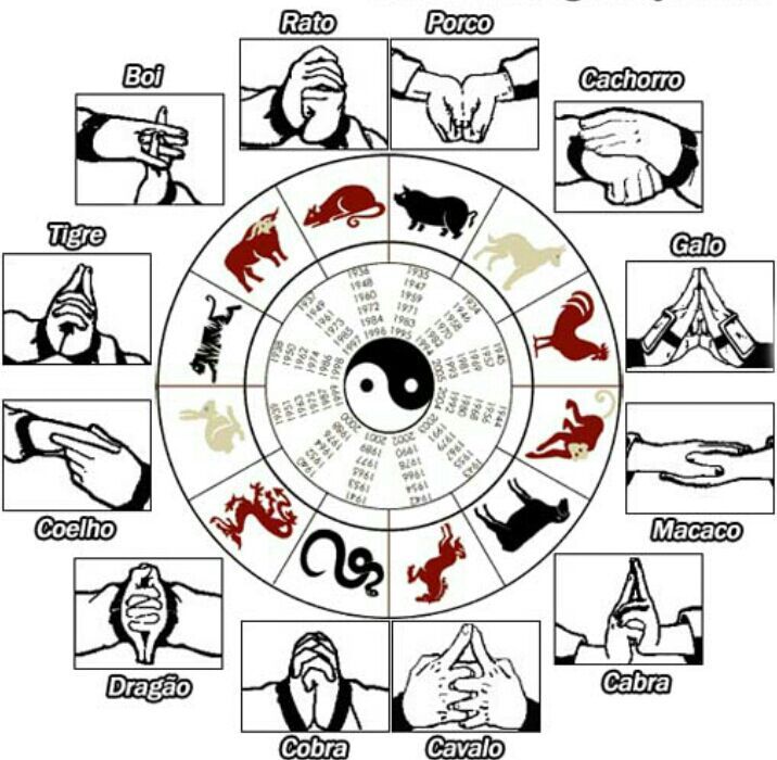 Selos de Naruto e seus jutsus Naruto Shippuden Online Amino Selos de Naruto e seus jutsus Naruto Shippuden Online Amino