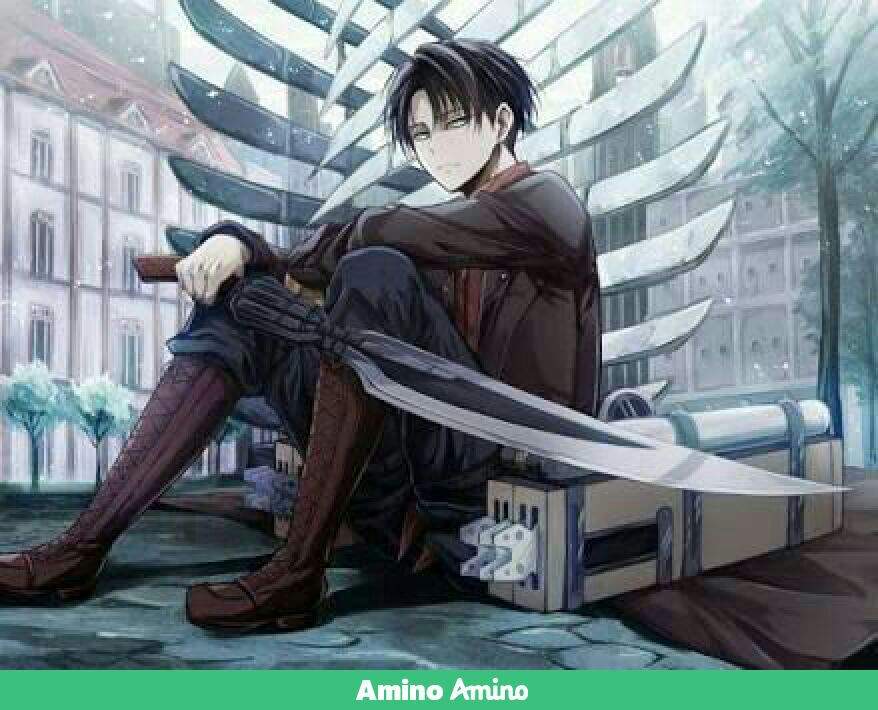 Capitan Levi | Wiki | •Anime• Amino