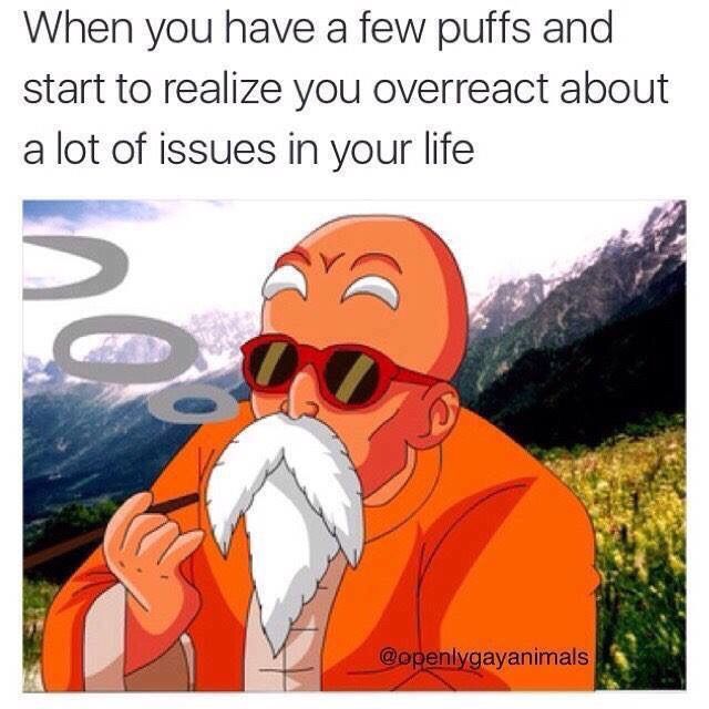 Master Roshis Puff Puff Pass Dragonballz Amino 8570