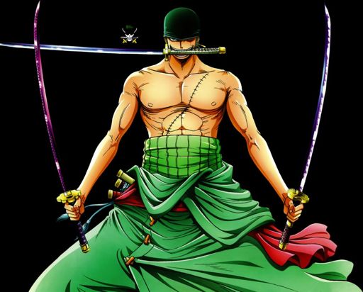 Rononoa ZORO. | Wiki | Otanix Amino