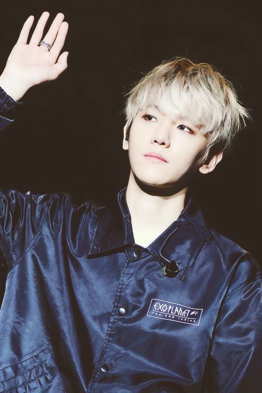 Baekhyun Silver Hair Appreciation | EXO (엑소) Amino