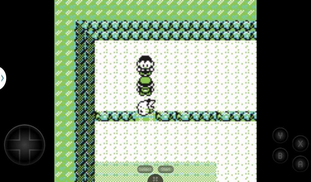 pokemon yellow starter location