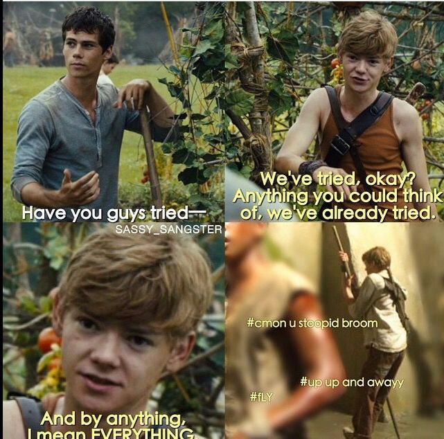 The maze runner memes 2 | Wiki | Runners Amino