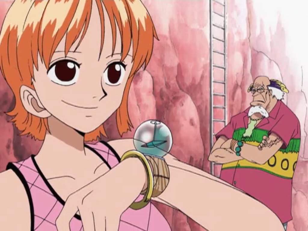 Nami Wiki •one Piece• Amino