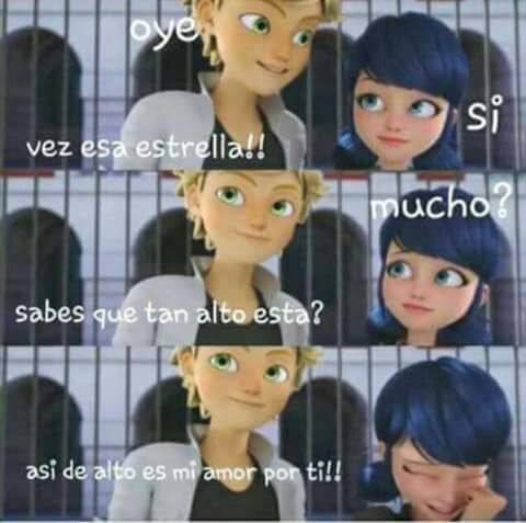 Amor adrien y marinette | •Miraculous Ladybug Español• Amino