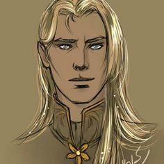 Aedion Ashryver | Wiki | Sarah J. Maas Amino