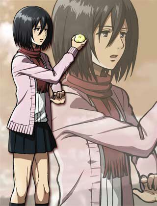 Some Alternative Outfits For Mikasa 