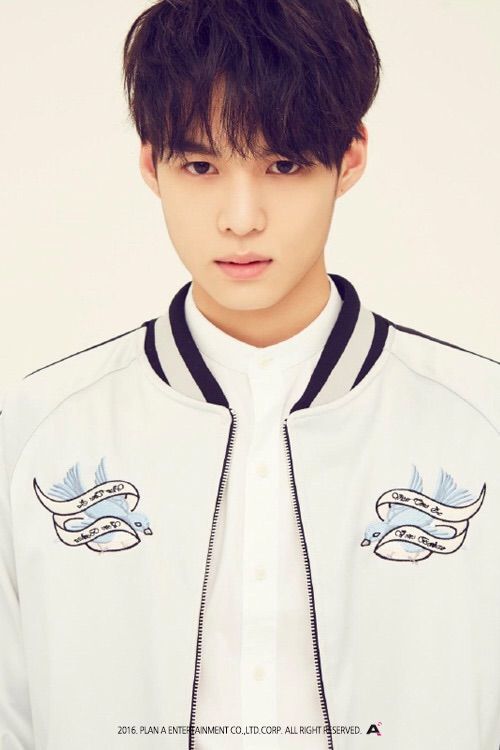 Victon Member Pics | K-Pop Amino