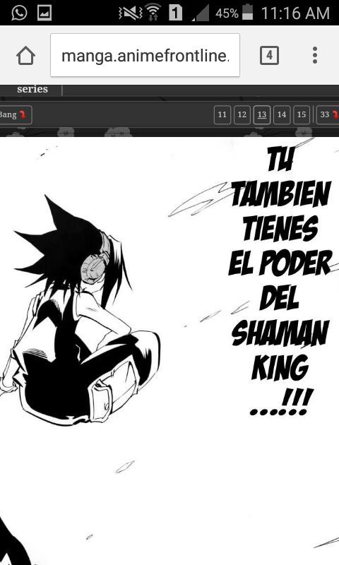 Shamanking Flowers Anime Amino Shamanking Flowers Anime Amino