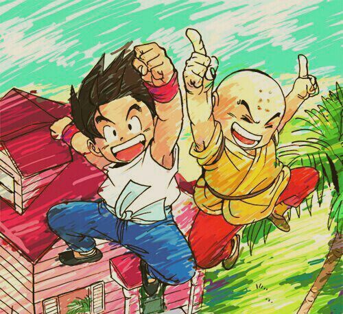 Goku and Krillin: The First Friendship of Dragon Ball | DragonBallZ Amino