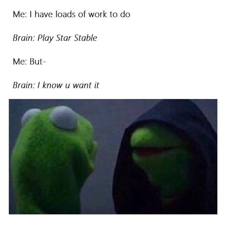 Meme | Star Stable Online Amino