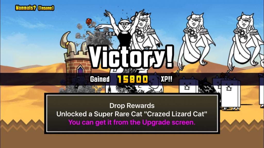 how to beat crazed tank battle cats