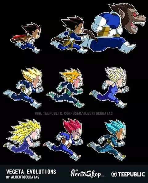 EVOLUCIONES EN DRAGON BALL | •Anime• Amino