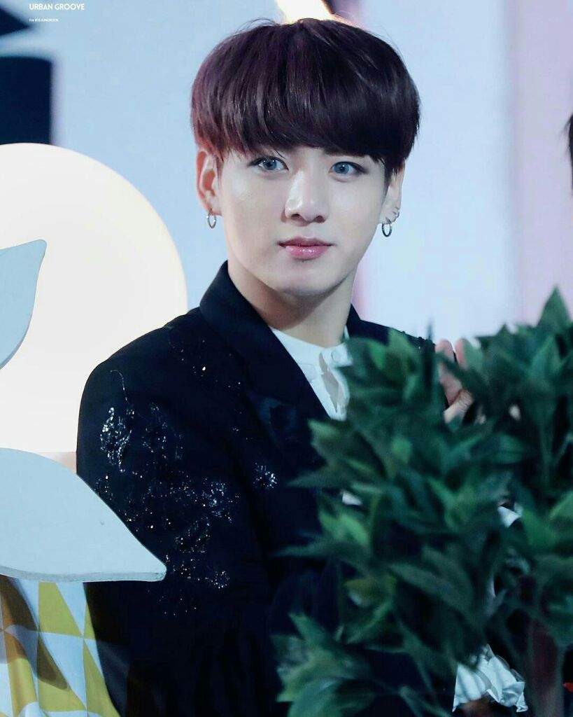 Jeon Jungkook 😍 | K-Pop Amino