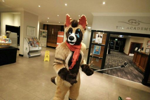 Murrsuit Porn Corey Coyote