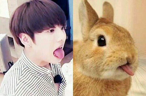 BABY/BUNNY KOOKIE 😍 ️🐰💖🙊🙉 | ARMY's Amino