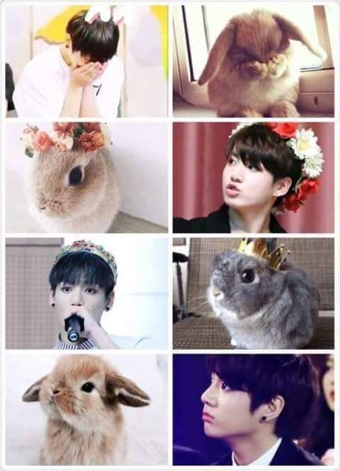 BABY/BUNNY KOOKIE 😍 ️🐰💖🙊🙉 | ARMY's Amino