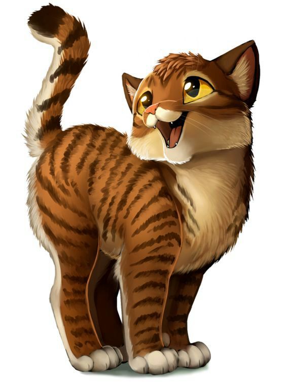 Brambleclaw | Warriors Amino