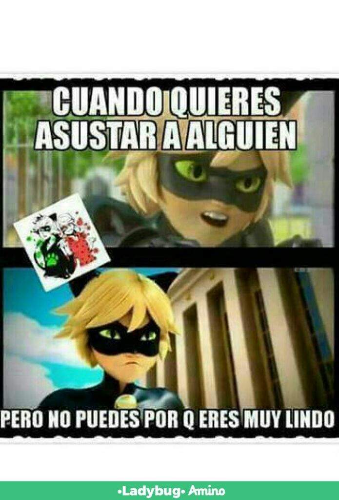 MEMES | •Miraculous Ladybug Español• Amino