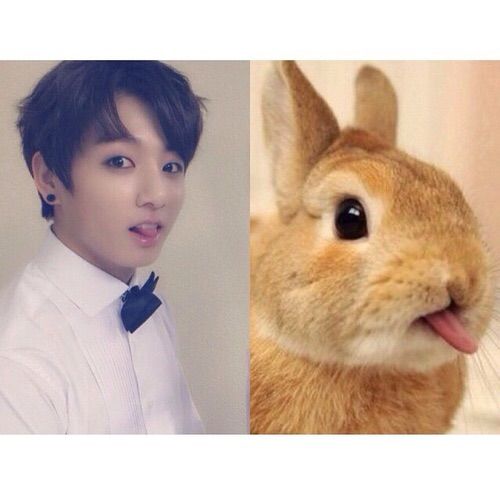 BABY/BUNNY KOOKIE 😍 ️🐰💖🙊🙉 | ARMY's Amino