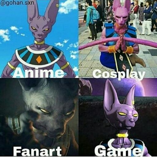 Lord Beerus/ Bills ♡ | DRAGON BALL ESPAÑOL Amino