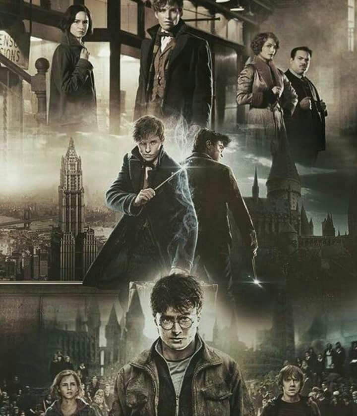 Harry Potter y Newt Scamander Wiki •Harry Potter• Español Amino