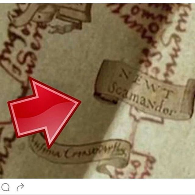 Newt Scamander on the Marauders map | Harry Potter Amino