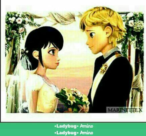 La boda | •Miraculous Ladybug Español• Amino