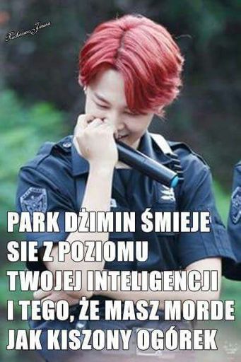 Polskie memy BTS | ARMY's Amino