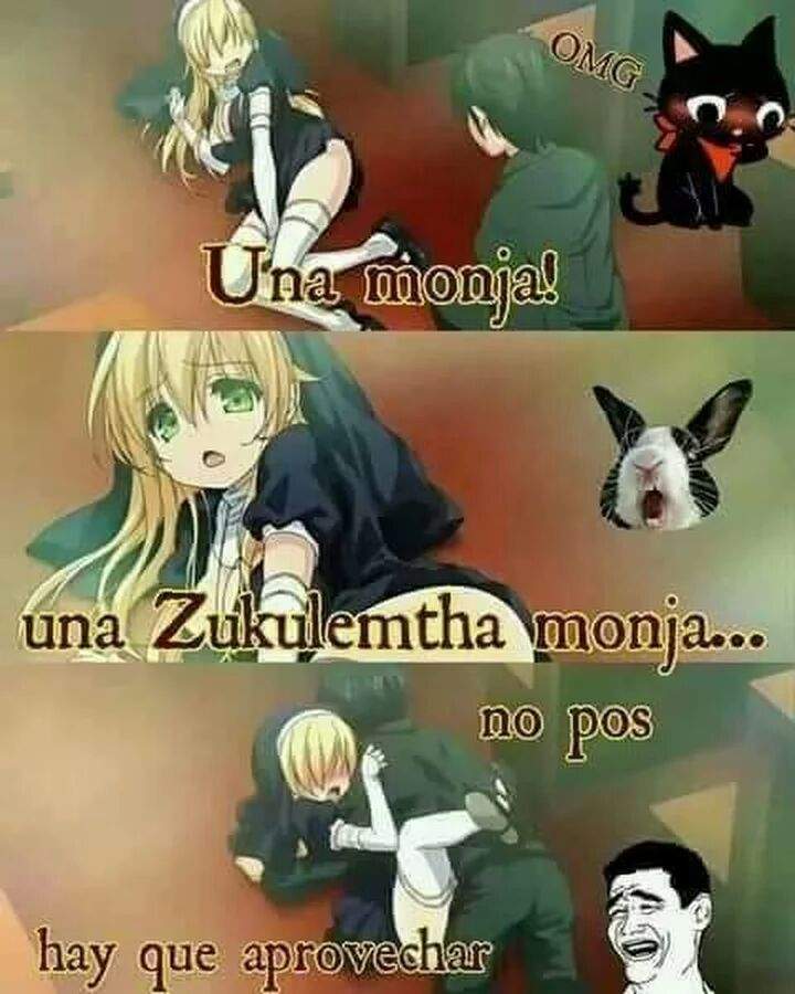 :v | •Anime• Amino