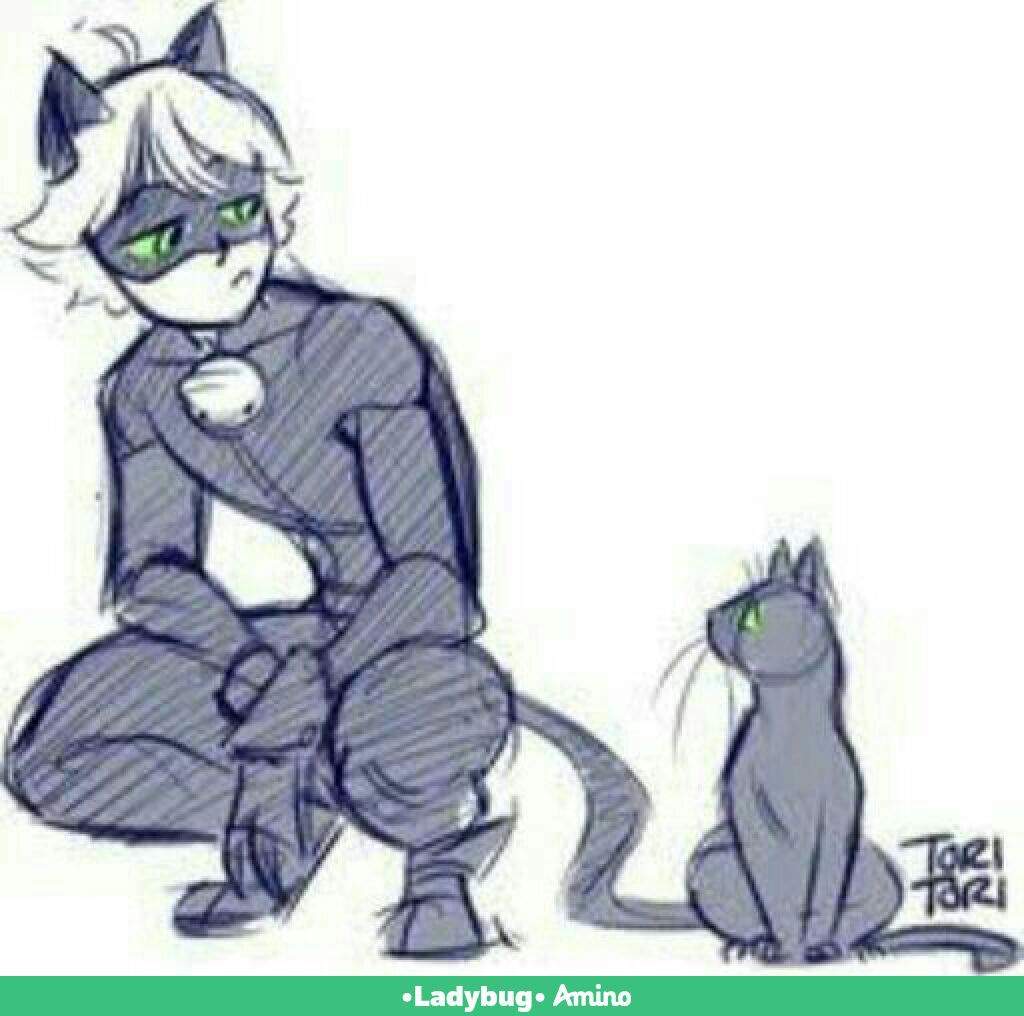 Especial De Chat Noir Adrien Agreste Miraculous Ladybug