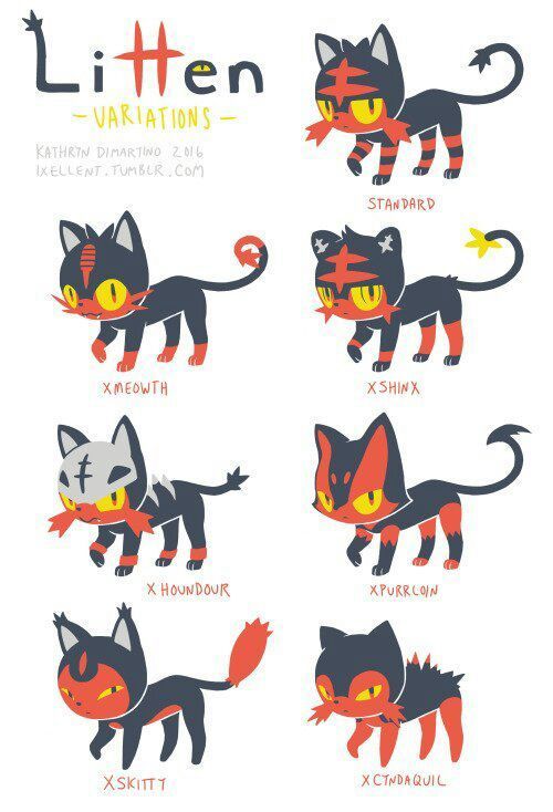 litten teddy