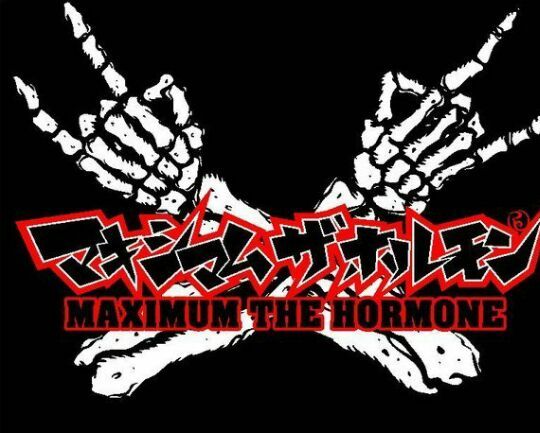 Maximum The Hormone Wiki Metal Amino