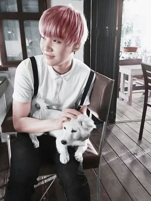 BTS WITH PETS | ARMY's Amino