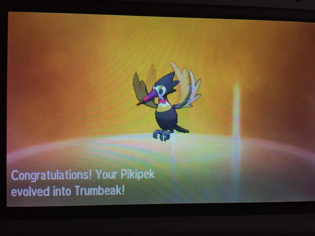 pokemon sun breed shiny pikipek guide
