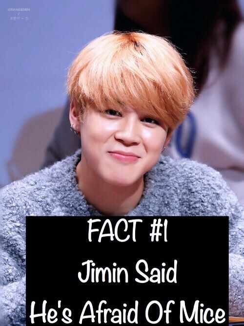 BTS FACTS (1) | ARMY's Amino