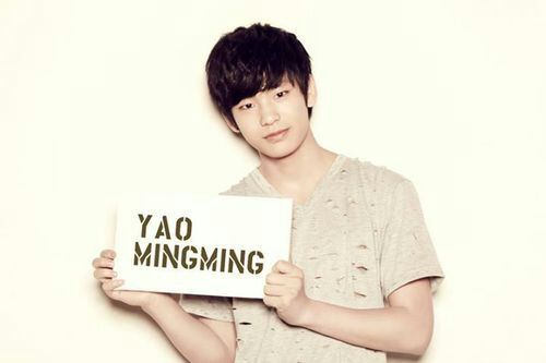 Name: Yao Mingming. 