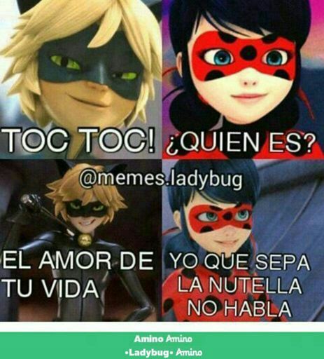 MEMES DE LADYNOIR parte 10 y 11 | •Miraculous Ladybug Español• Amino